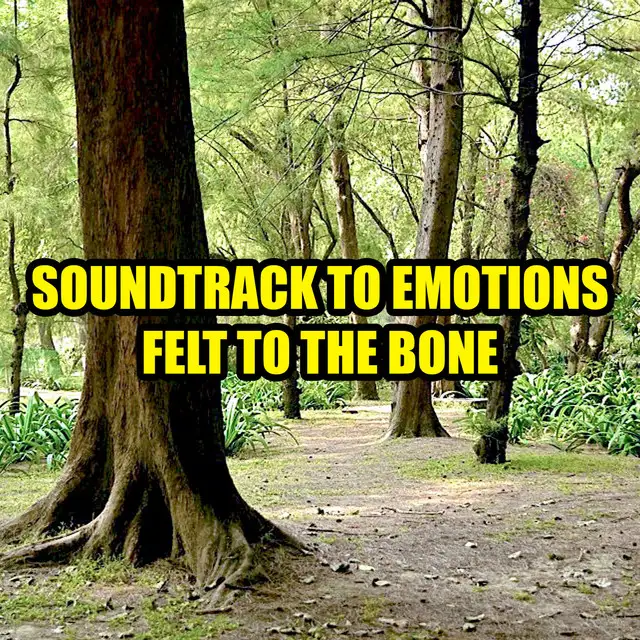 Soundtrack to Emotions Felt to the Bone by The Speakers, Kunal Roy - Frenchcore cover art
