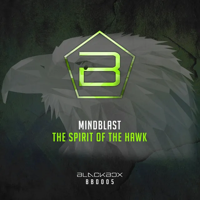 Cover art of The Spirit Of The Hawk