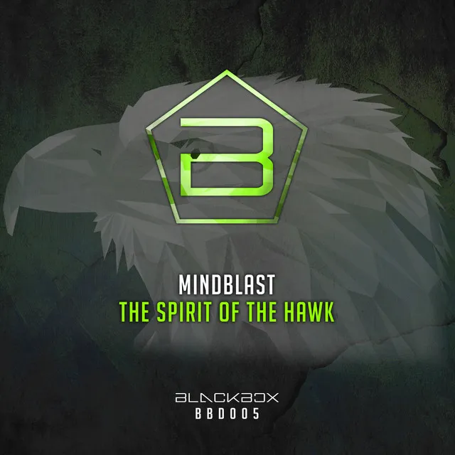 Cover art of The Spirit Of The Hawk