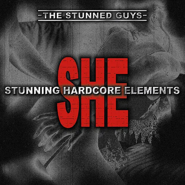 Back once again by The Stunned Guys - Hardcore cover art