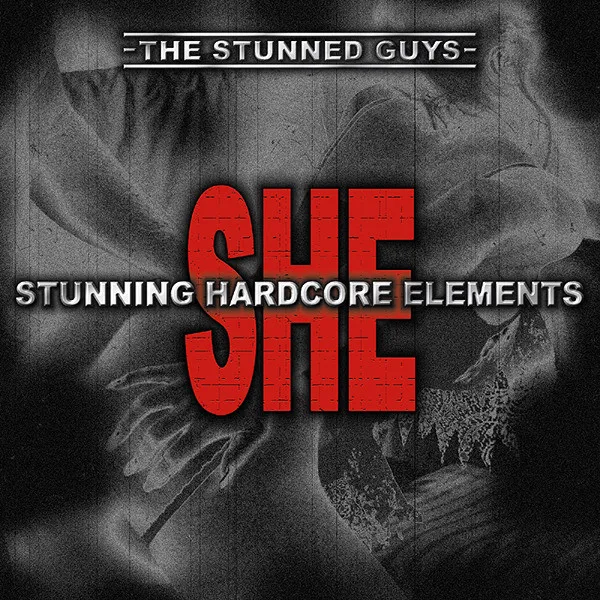 Meccanica by The Stunned Guys - Hardcore cover art