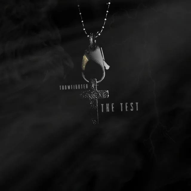 Cover art of The Test