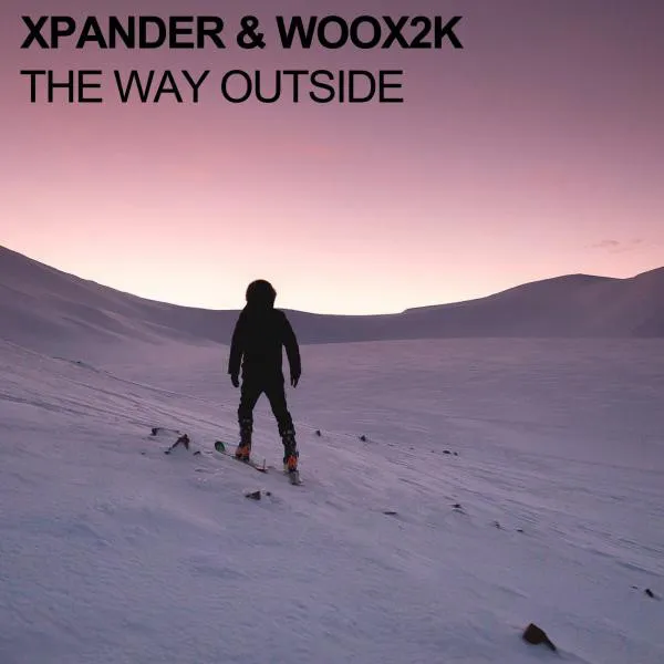Cover art of The Way Outside