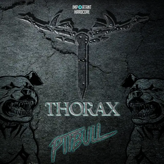Crazy Bitch - Corruptive Chaos Remix by Thorax - Hardcore cover art