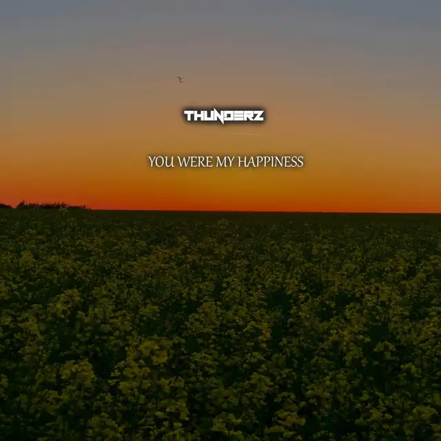 You Were My Happiness by Thunderz - Hardstyle cover art