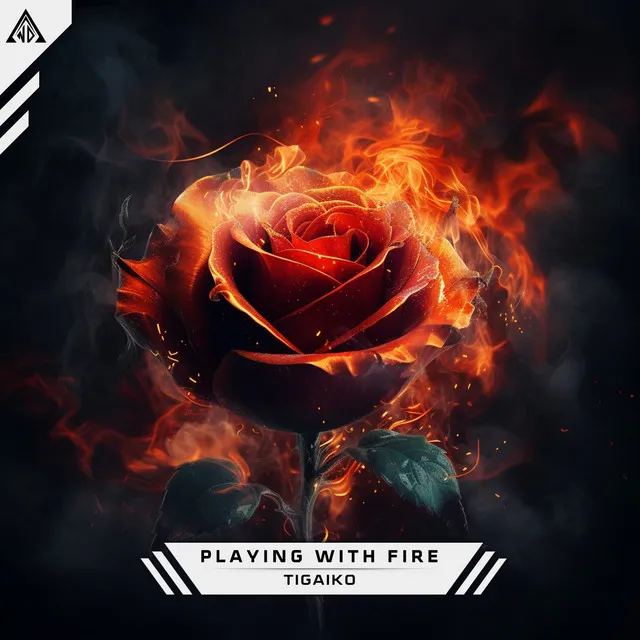 Playing with Fire by Tigaiko - Hardstyle cover art