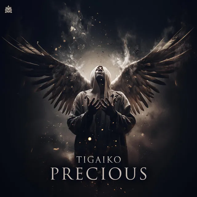 Precious by Tigaiko - Hardstyle cover art