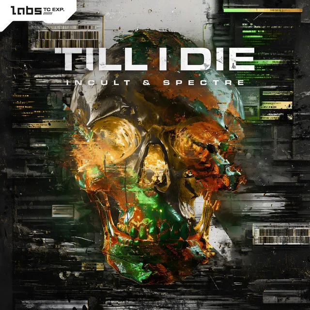 Cover art of Till I Die