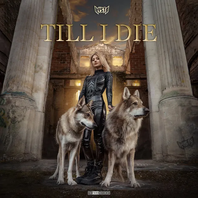 Cover art of Till I Die