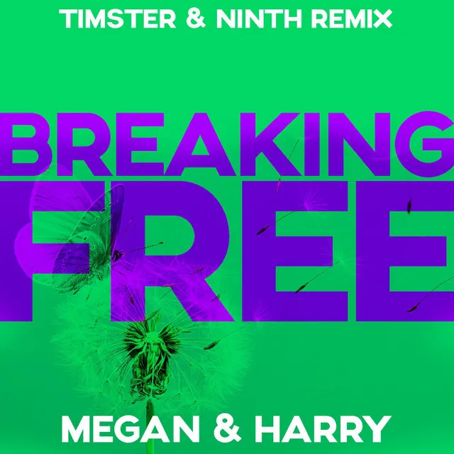 Breaking Free (Timster & Ninth Remix Edit) by Timster, Ninth, Megan & Harry - Hardstyle cover art