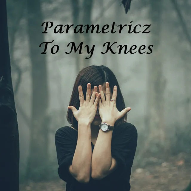 Cover art of To My Knees
