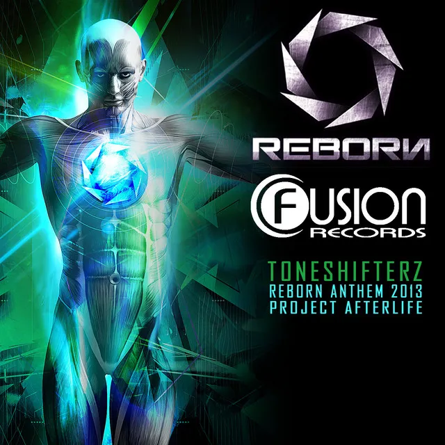 Project Afterlife (Reborn Anthem 2013) - Original Mix by Toneshifterz - Hardstyle cover art