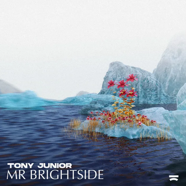 Mr Brightside by Tony Junior - Hardstyle cover art
