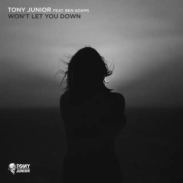 Won't Let You Down by Tony Junior, Ben Adams - Hardstyle cover art