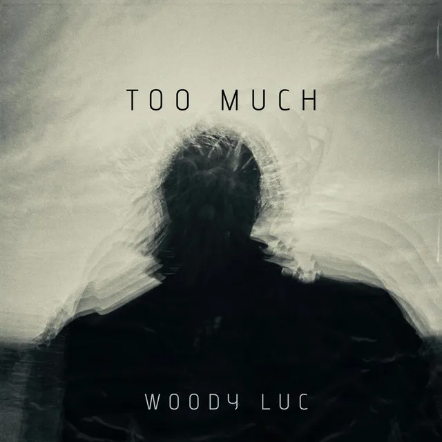 Cover art of Too Much