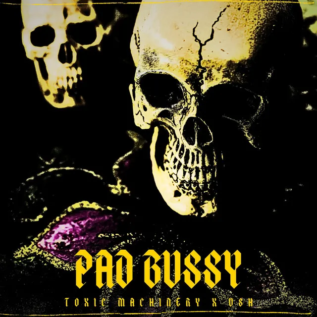 Pad Bussy by Toxic Machinery, USH - Hard Techno cover art