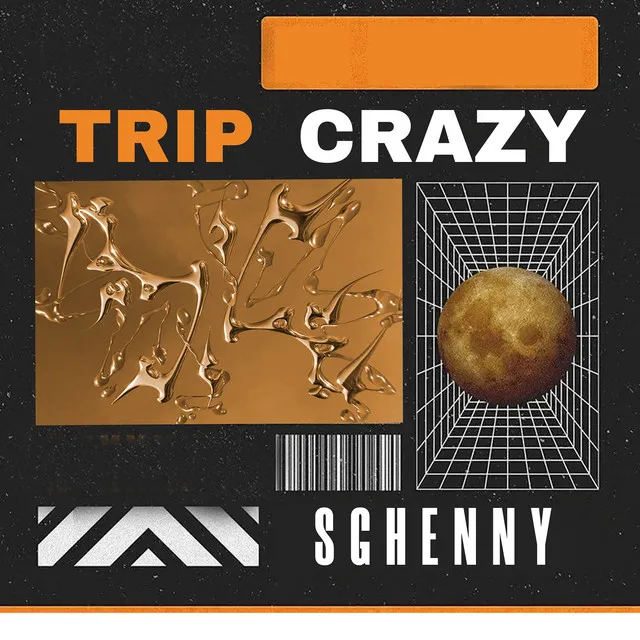 Cover art of Trip Crazy