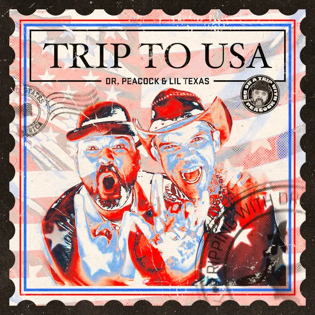 Cover art of Trip to USA