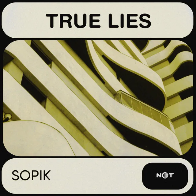Cover art of True Lies