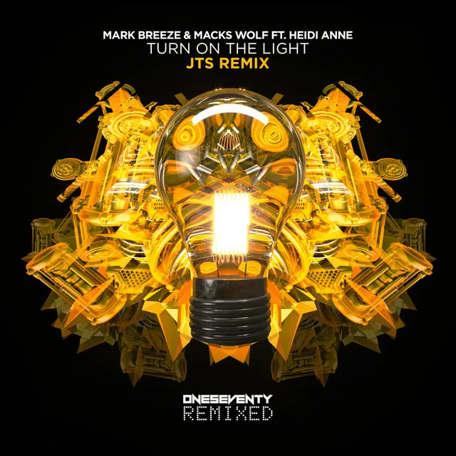 Cover art of Turn On The Light (JTS Remix)