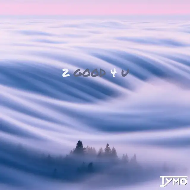 2 Good 4 U by Tymo - Hardstyle cover art