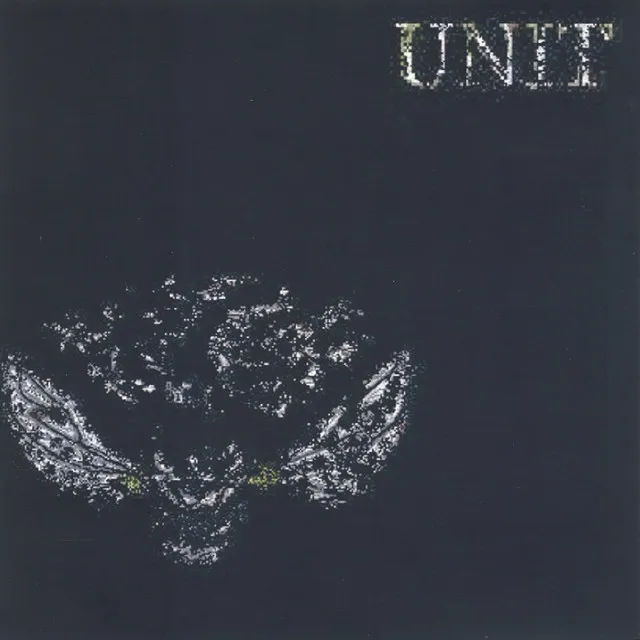 Grey Feeling by Unit - Frenchcore cover art