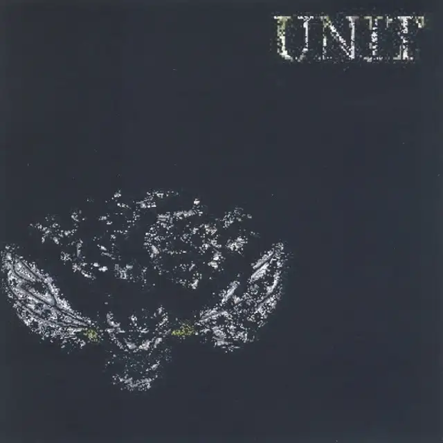 High Level Intensity by Unit - Frenchcore cover art