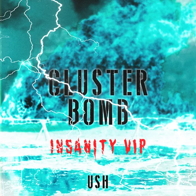 Cluster Bomb - Insanity VIP by USH - Hard Techno cover art