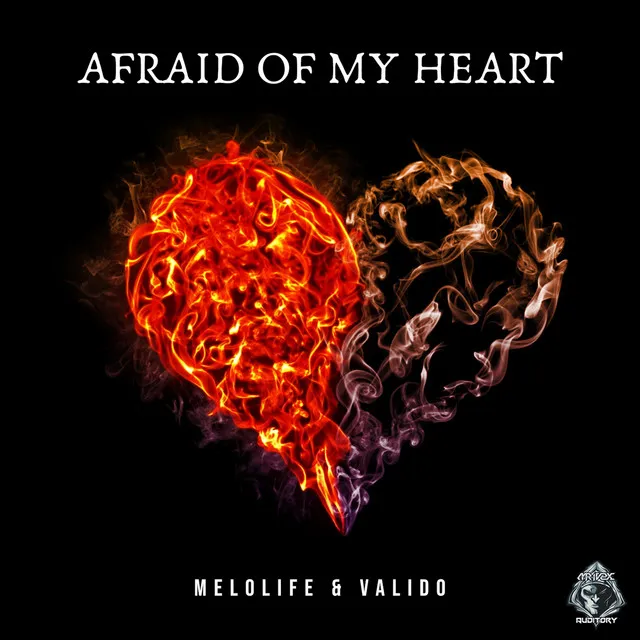 Afraid of My Heart by Valido, MELOLIFE - Hardcore cover art