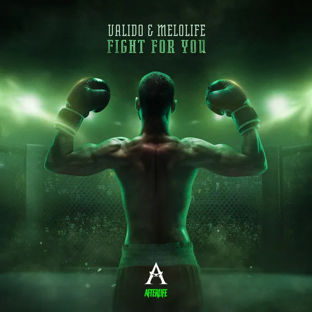 Fight For You by Valido, MELOLIFE - Frenchcore cover art
