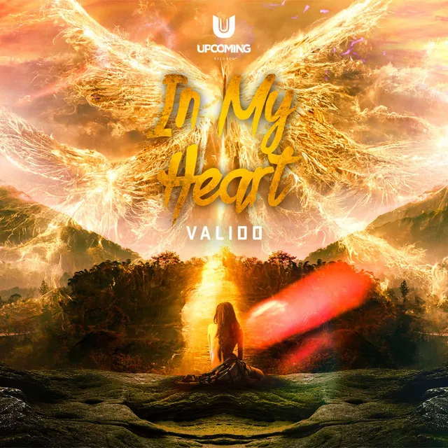 In My Heart by Valido - Hardstyle cover art