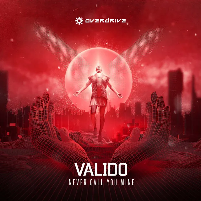 Never Call You Mine by Valido - Hardstyle cover art