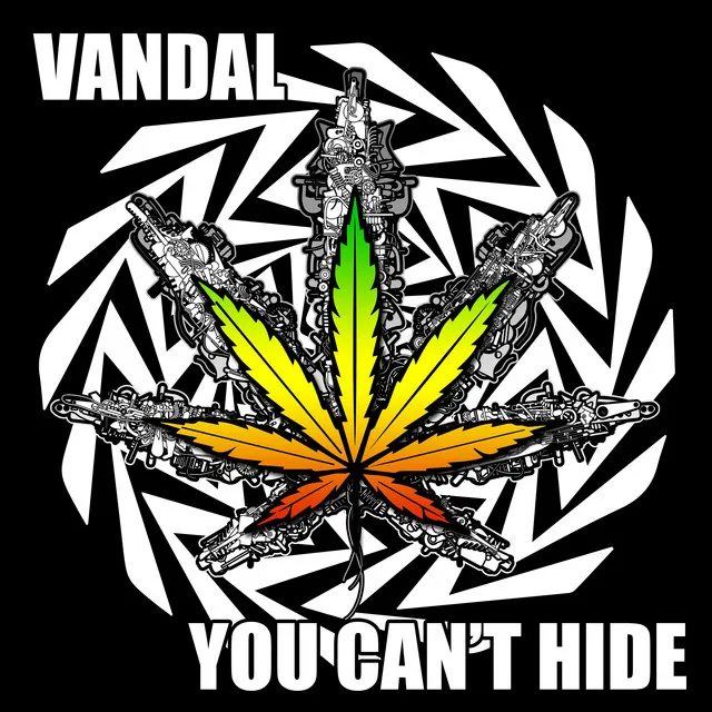You Can't Hide by Vandal - Frenchcore cover art