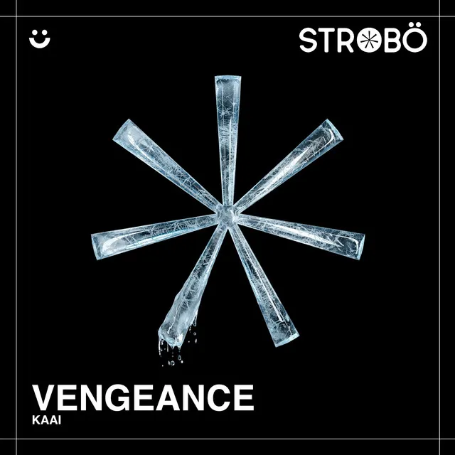 Cover art of Vengeance