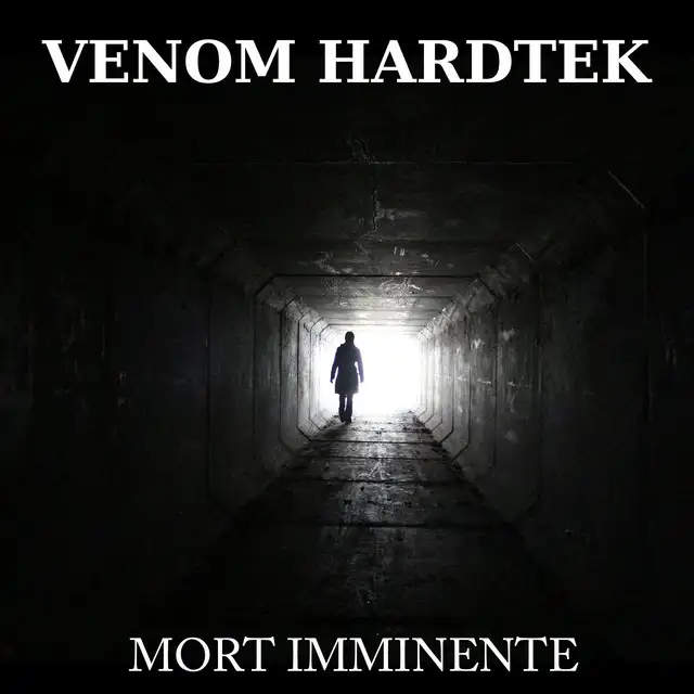 La danse Du Feu by Venom Hardtek - Frenchcore cover art