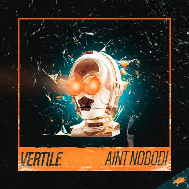 Ain't Nobodi by Vertile - Rawstyle cover art
