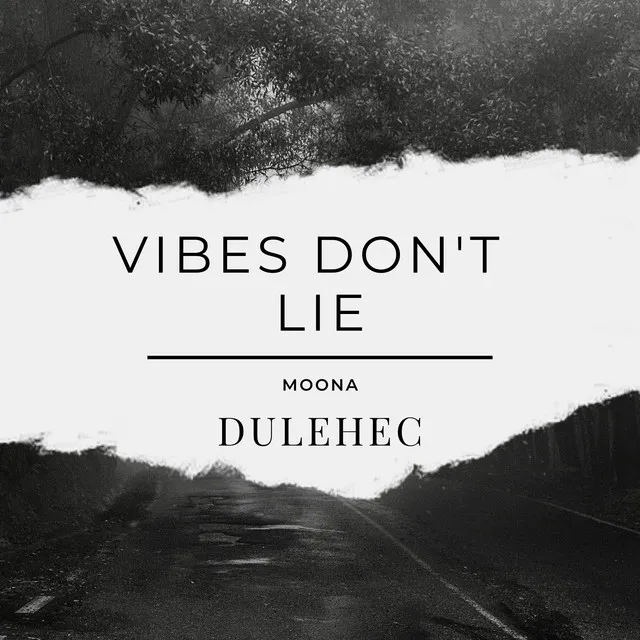Cover art of Vibes Don't Lie