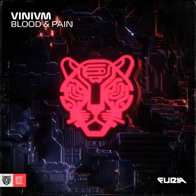 Blood & Pain by Vinivm - Hardstyle cover art