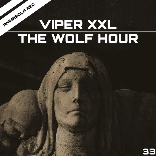 Acirfa by Viper XXL - Schranz cover art