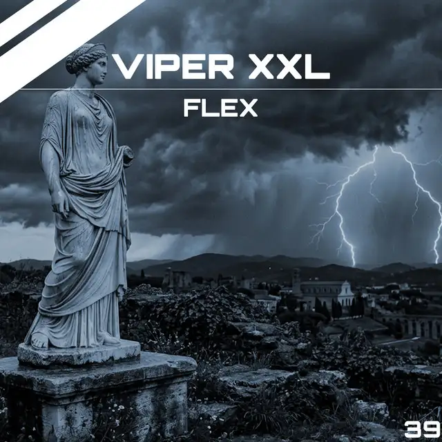 Flex by Viper XXL - Schranz cover art
