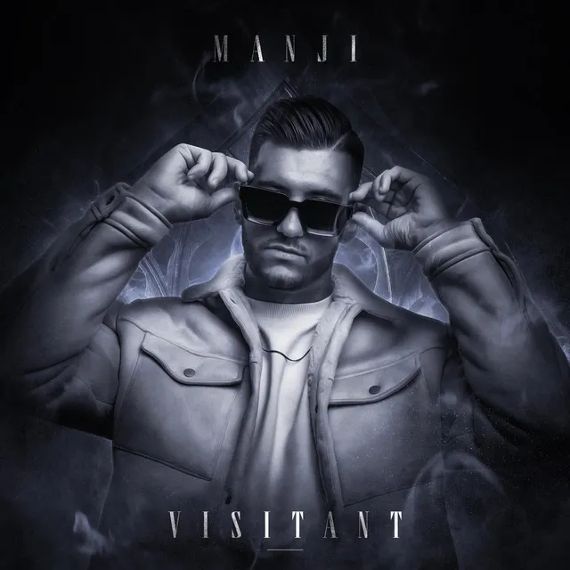 Cover art of Visitant