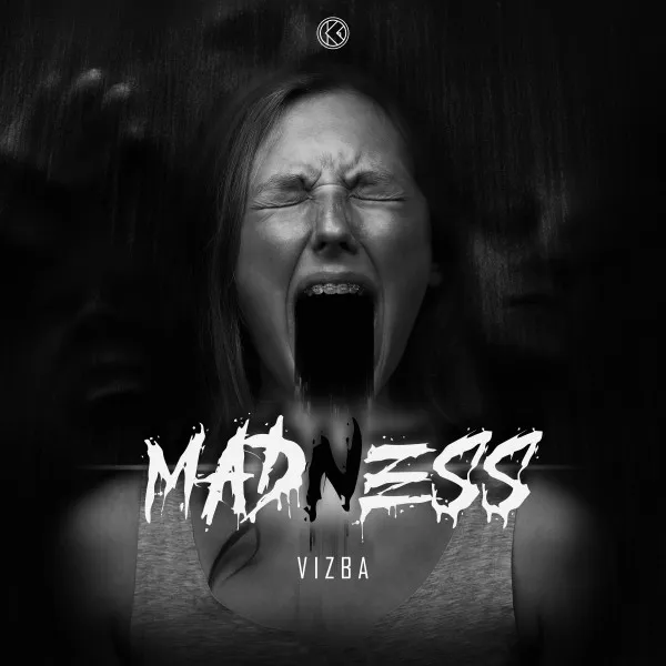 Madness by VIZBA - Hardcore cover art