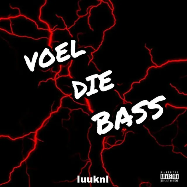 Cover art of VOEL DIE BASS