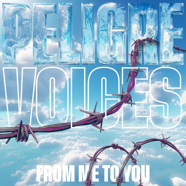 Cover art of Voices