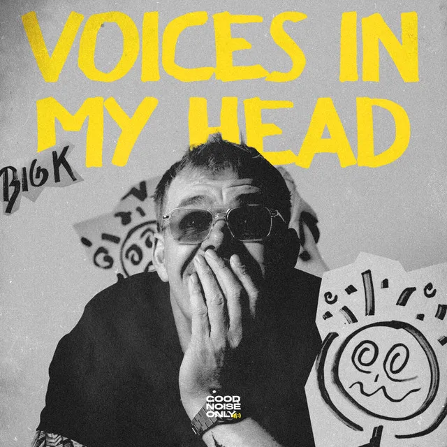 Cover art of VOICES IN MY HEAD