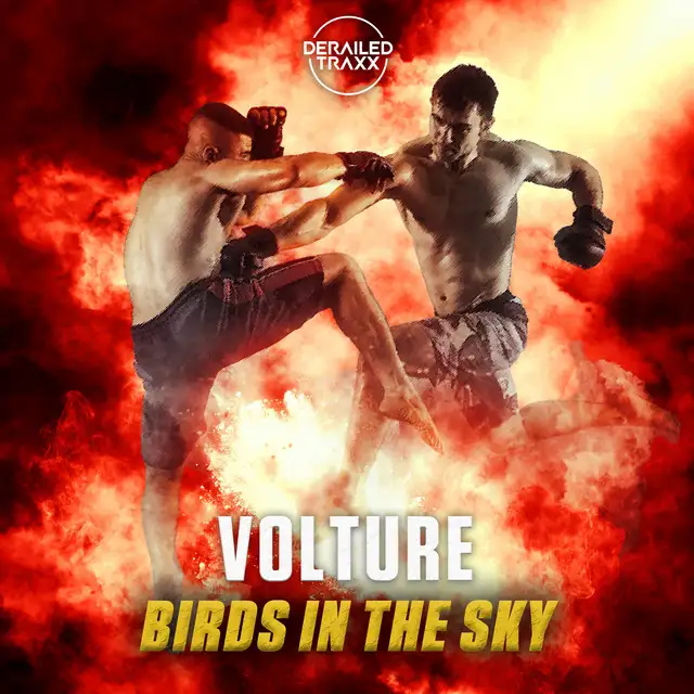 Birds In The Sky - Extended Mix by Volture - Hardstyle cover art