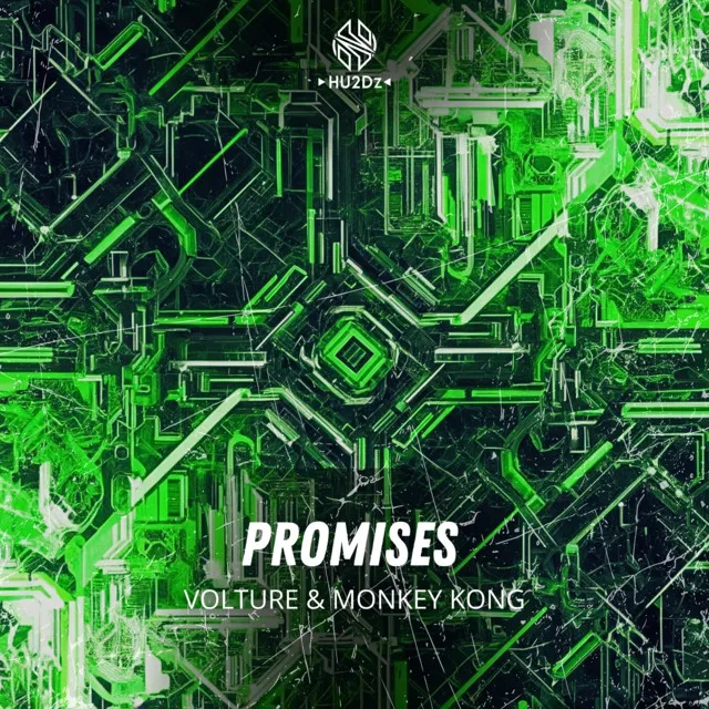 Promises by Volture, Monkey Kong - Hardstyle cover art