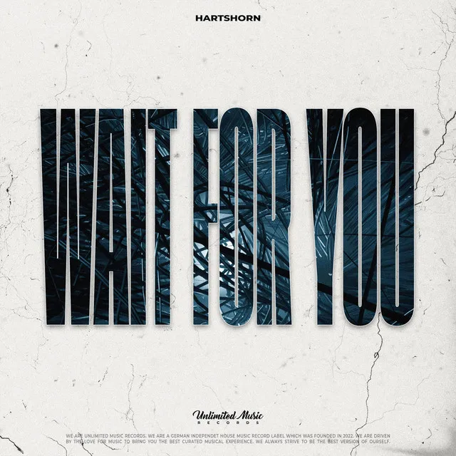 Cover art of Wait For You