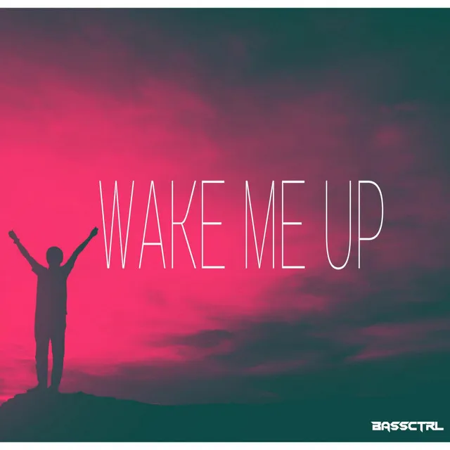 Cover art of Wake Me Up