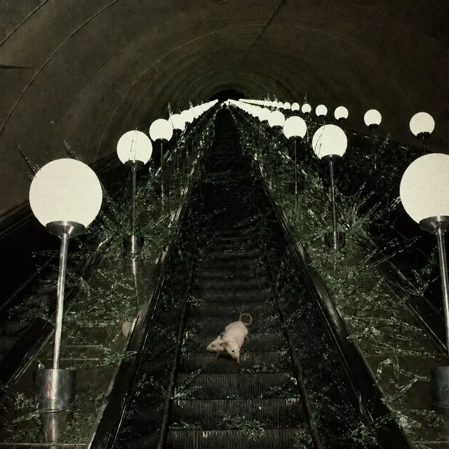 Cover art of WANT IT